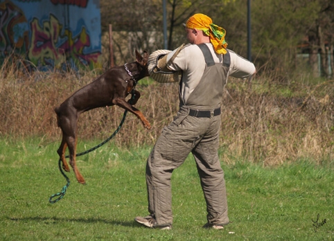 Training 4. 4. 2007